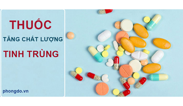 07 Loại thuốc tăng chất lượng tinh trùng được tin tưởng nhất