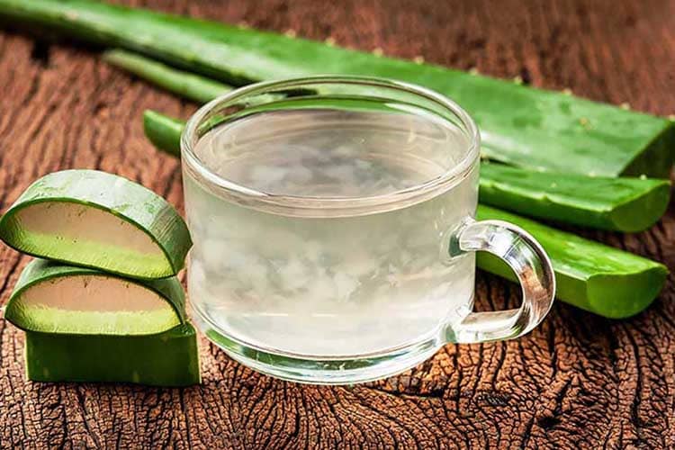 Nha đam tăng cường sinh lý nam hiệu quả
