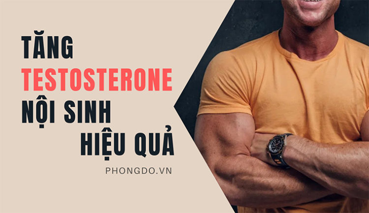 Hướng dẫn bạn cách tăng testosterone nội sinh vô cùng hiệu quả