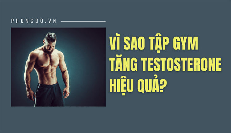 Vì sao tập gym tăng testosterone hiệu quả