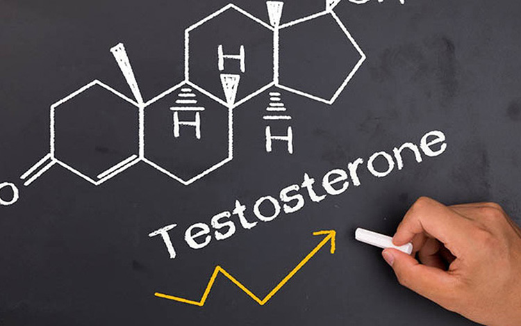 Testosterone có vai trò rất quan trọng đối với cơ thể nam giới