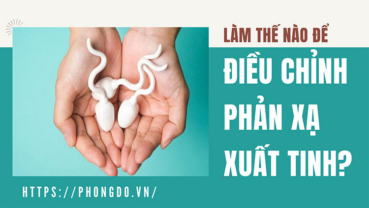 Điều chỉnh phản xạ xuất tinh