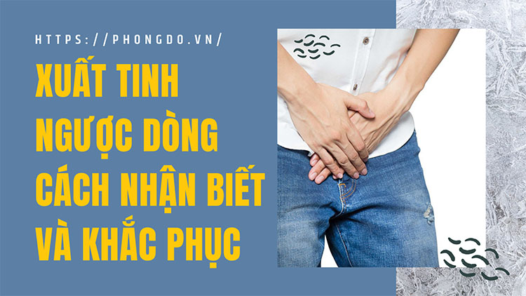 Xuất tinh ngược dòng là gì? Cách nhận biết và khắc phục