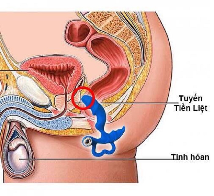 điểm g của nam nằm ở đâu