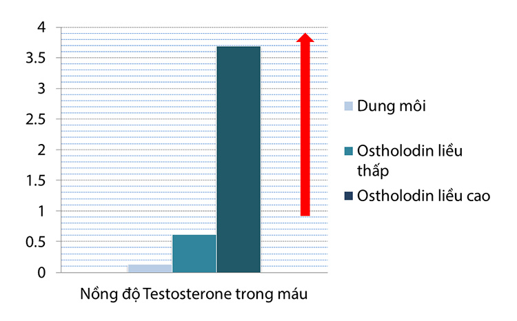 ostholodin-1.jpg